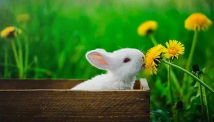 曼城绝杀晋级，独步欧冠半决赛殿堂