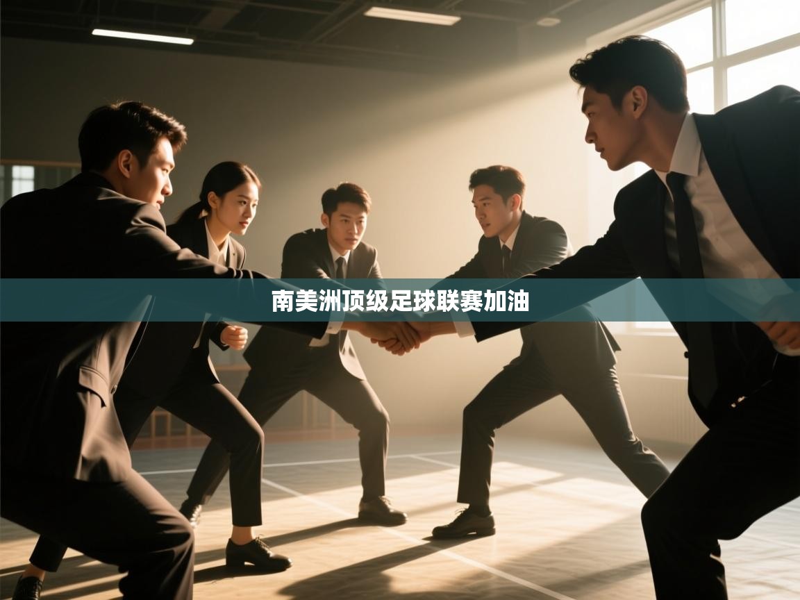 南美洲顶级足球联赛加油