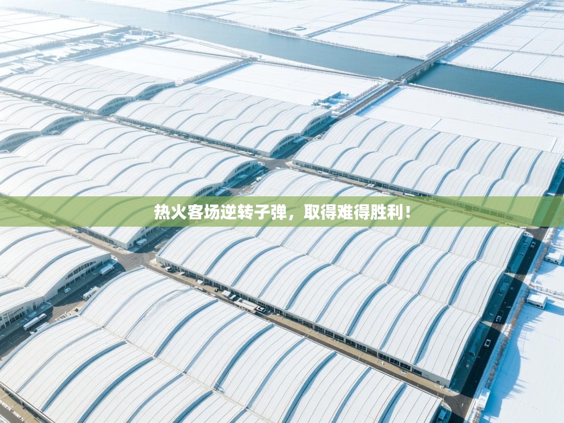 热火客场逆转子弹，取得难得胜利！